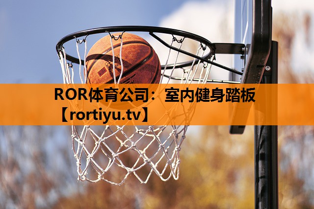 室内健身踏板
