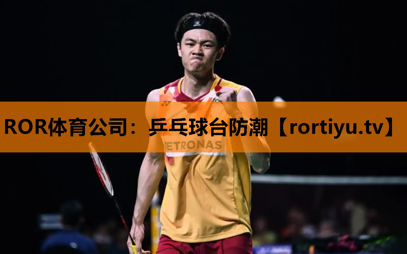 乒乓球台防潮