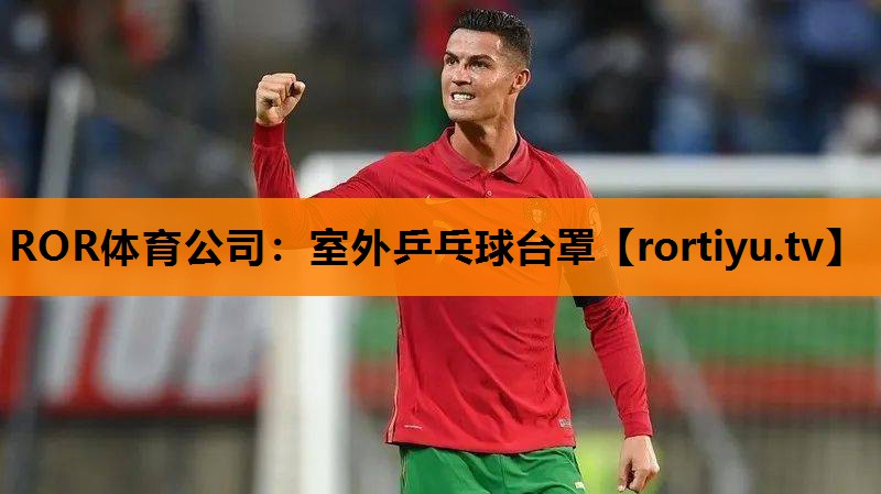 室外乒乓球台罩