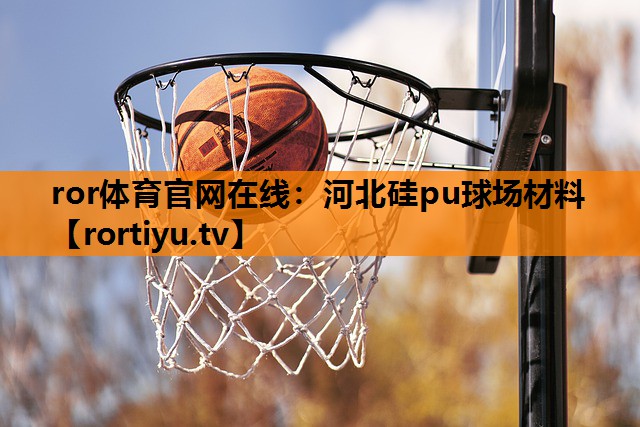 河北硅pu球场材料