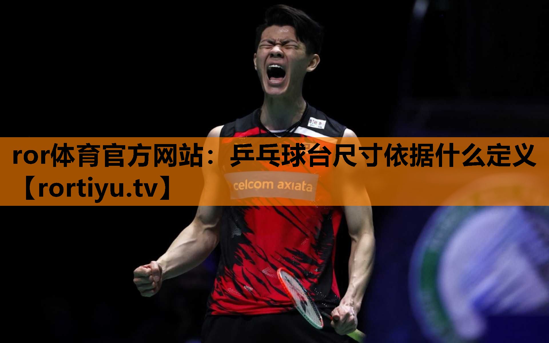 乒乓球台尺寸依据什么定义