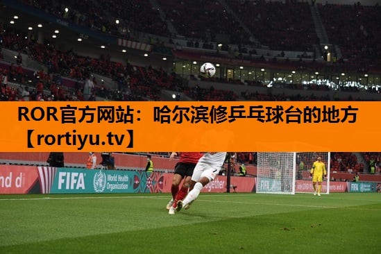 哈尔滨修乒乓球台的地方