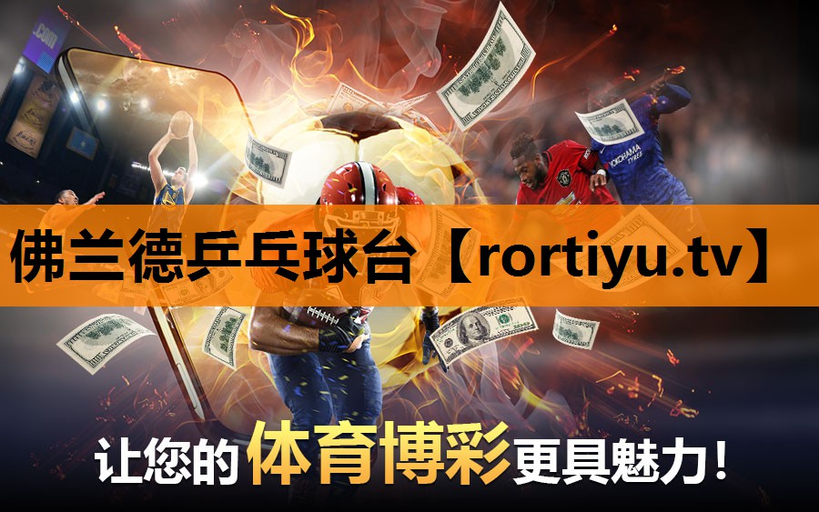 佛兰德乒乓球台